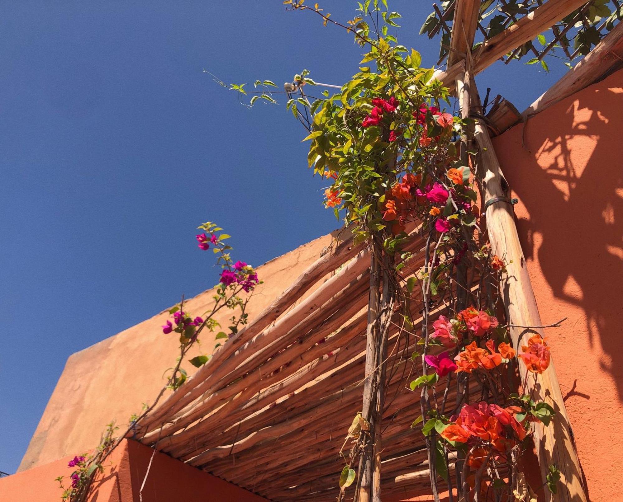Riad Imndi Marrakesh Bagian luar foto